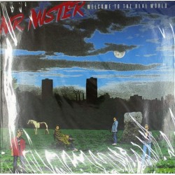 Пластинка Mr. Mister Welcome to the Real World